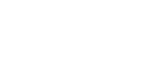 Anex logo