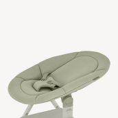 Newborn seat