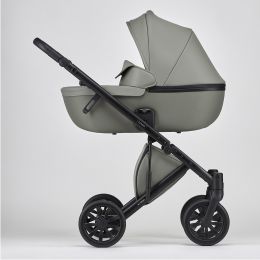 Stroller Anex Echo