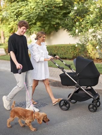 Stroller IQ
