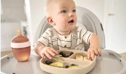 Meet the New Tone of Everyday Home Calm — Ozy Shade