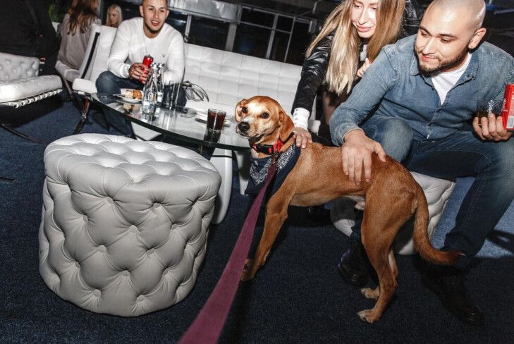 Presentation in Moscow