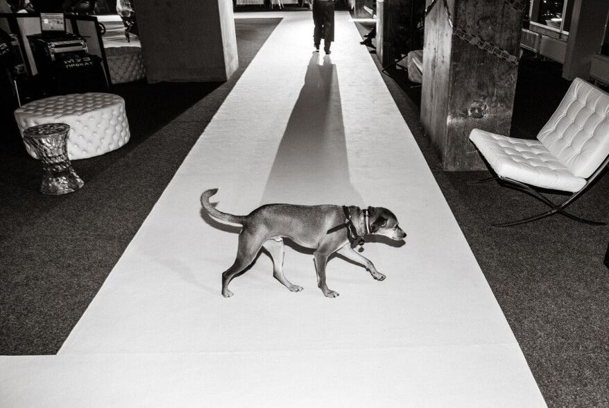 Presentation in Moscow