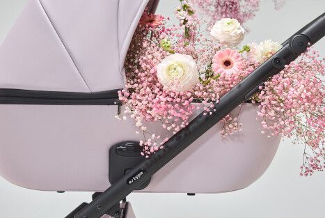 Anex e/type: Let Tenderness Be Natural