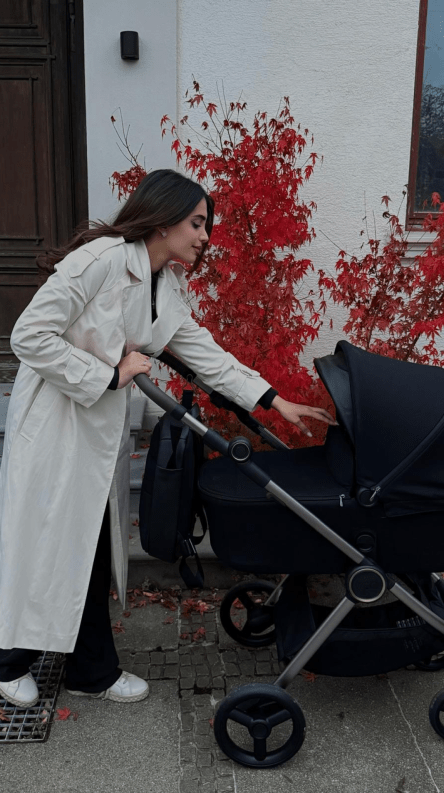 Anex IQ in real life