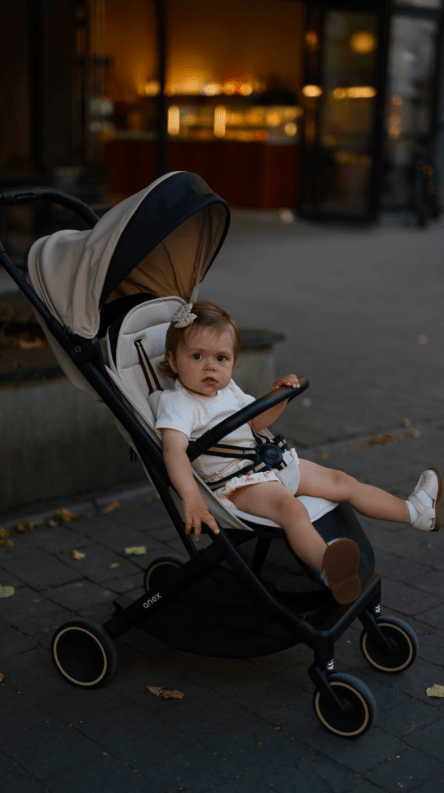 Air-X² Carry Bag in real life