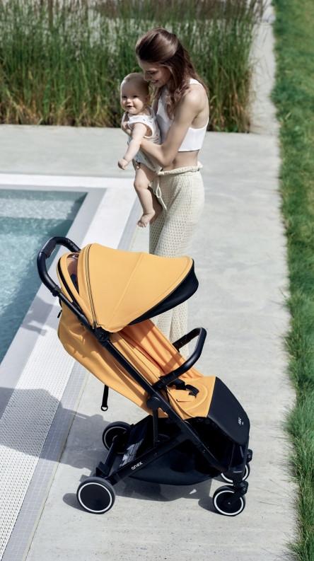 Anex Air-X in real life