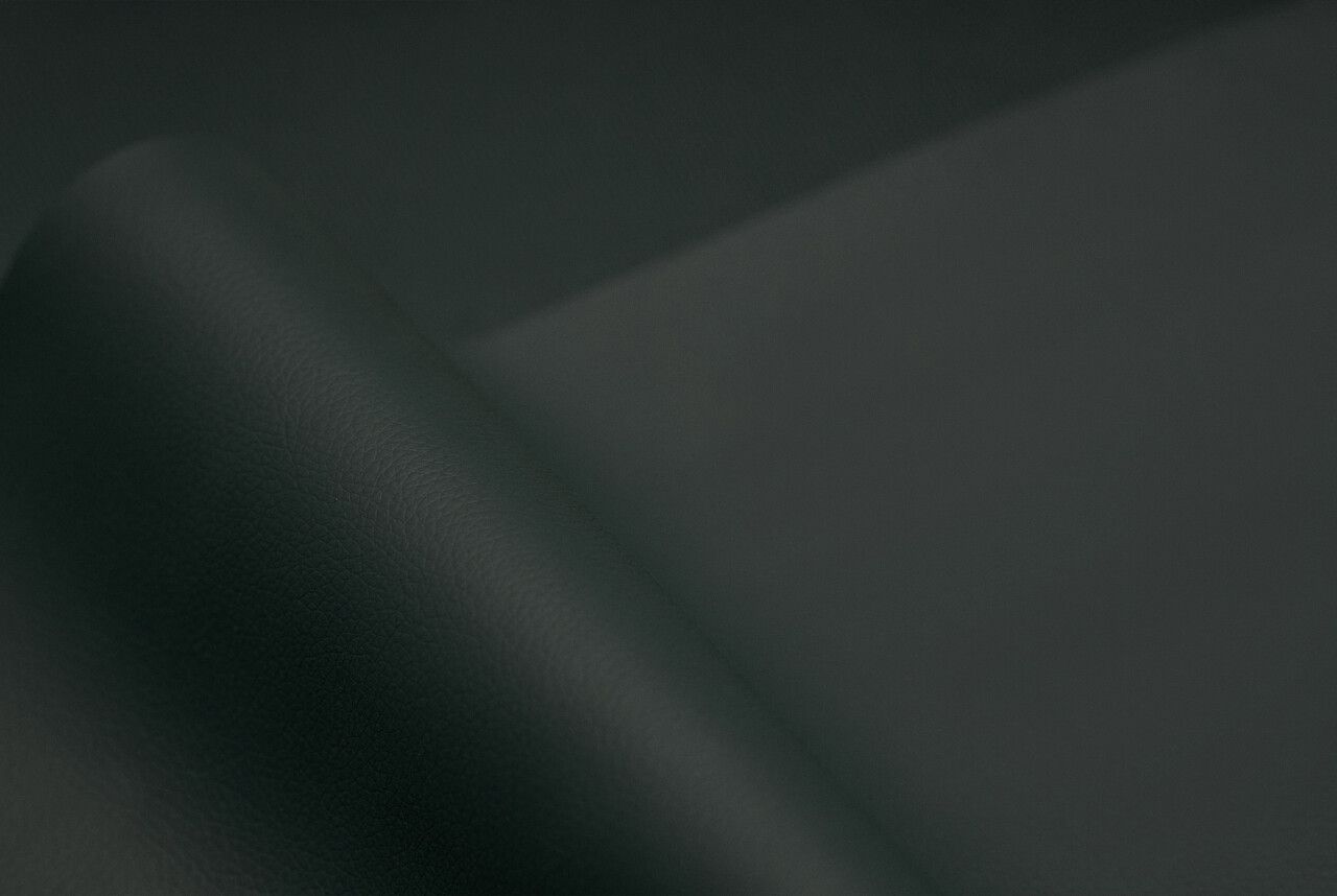 Renewed Anex e/type Collection